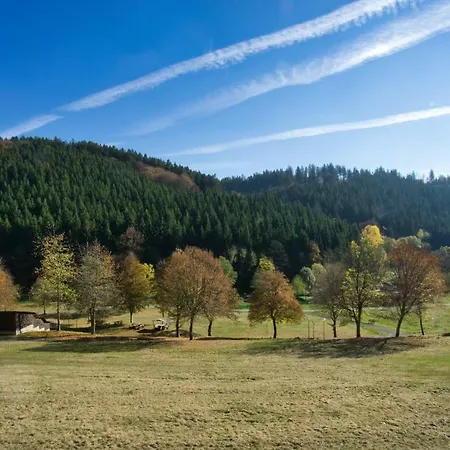Kurparkblick Daire Schmallenberg
